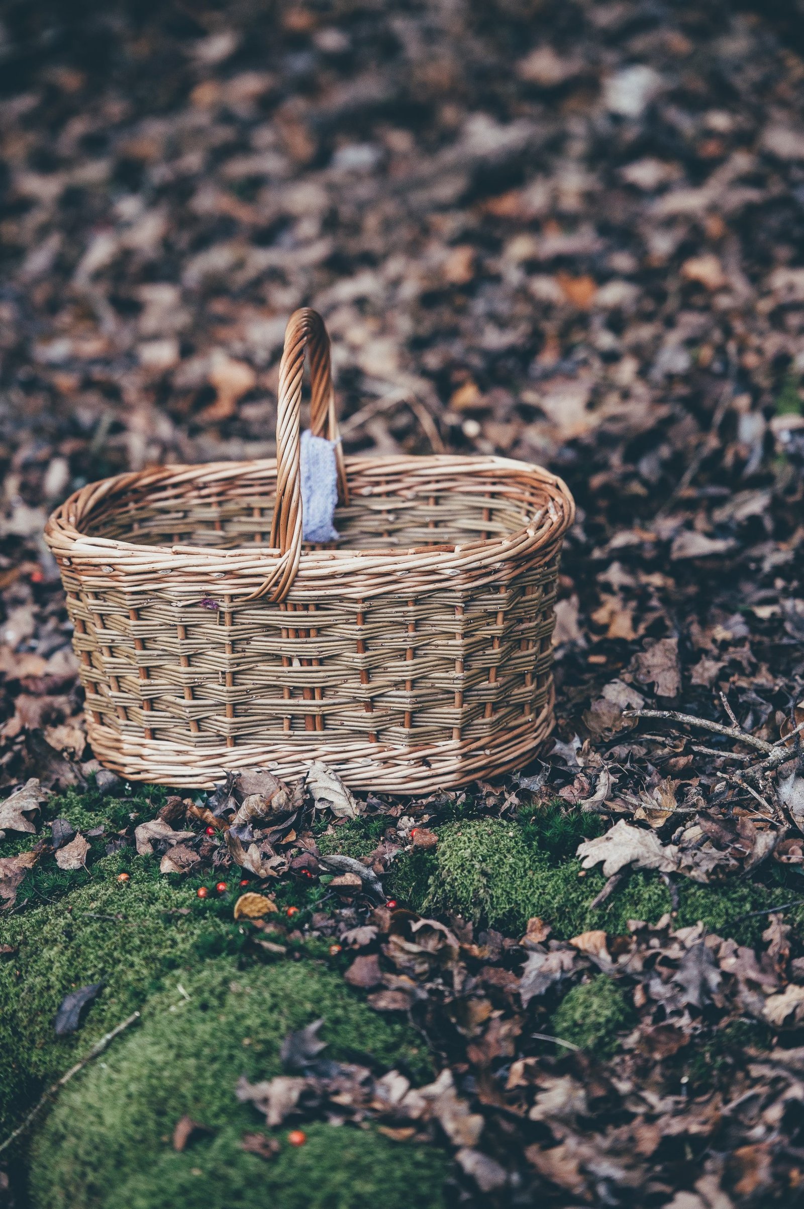 Longaberger basket image