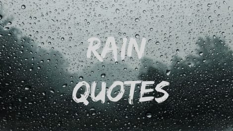 Rain Quotes