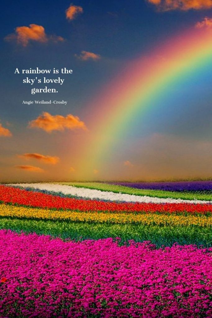 70 Explore Good Rainbow Quotes That Will Brighten Your Day Web Splashers 