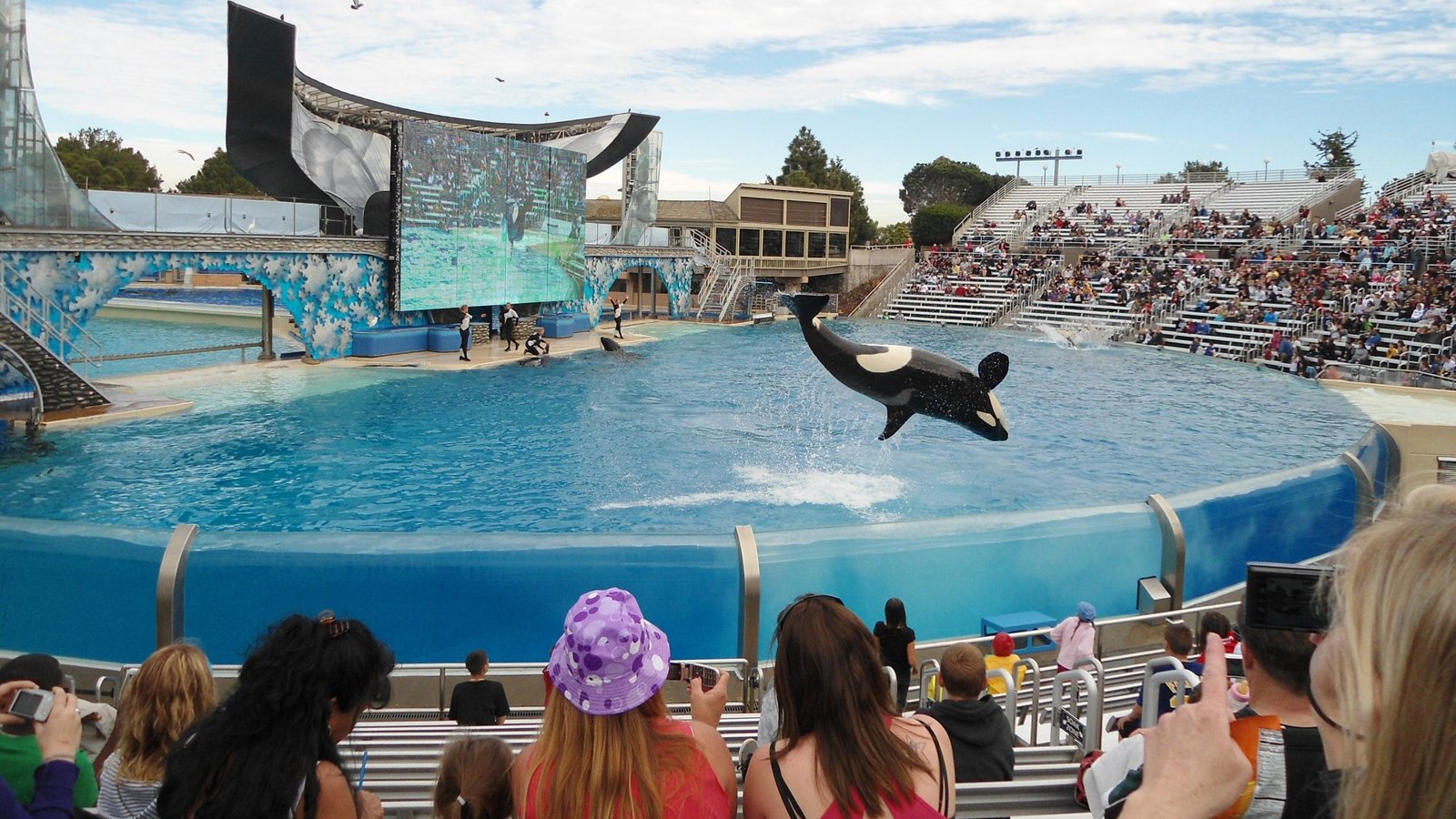 Seaworld, San Diego, CA