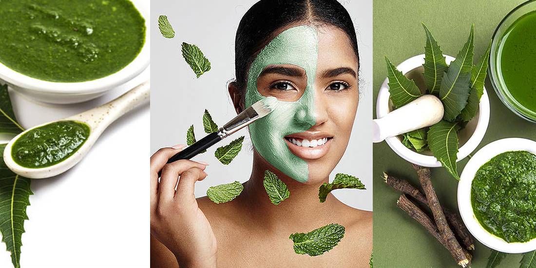 Neem Plant: Health and Beauty Benefits - Web Splashers