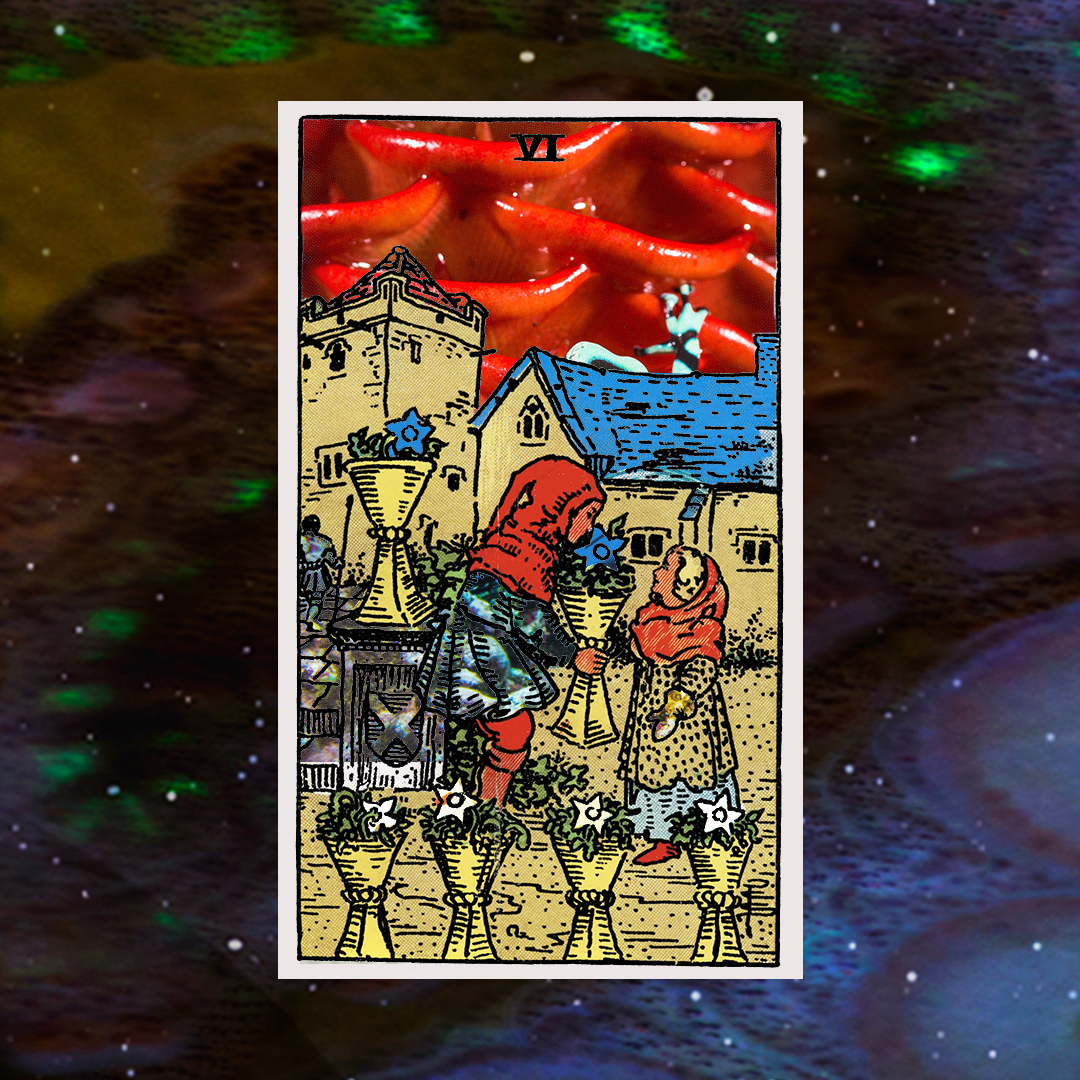 6 of cups revered