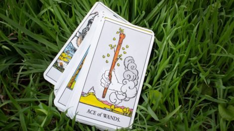 ace of wands yes or no