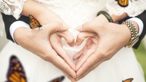 Monarch Butterfly Spiritual Meaning Love