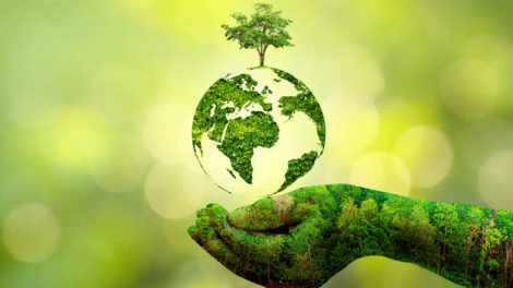 Eco-friendly lifestyle tips