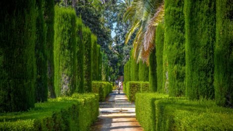 Urban Landscape Design: Creating Functional and Aesthetic Outdoor Spaces with Plastic Plant Manufacturers