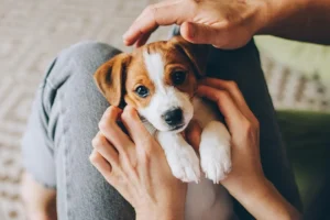 cute dog names for female dogs