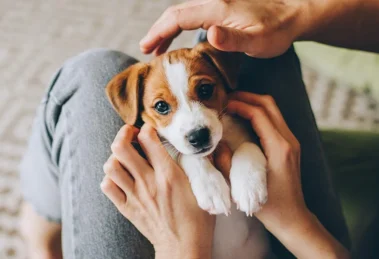 cute dog names for female dogs
