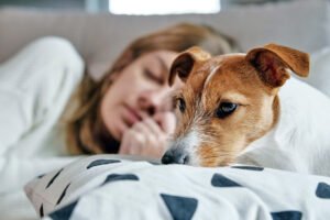 Short Messages For My Dog Who Passed Away