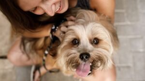 Unique and cute dog names