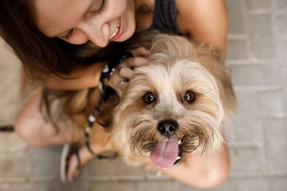 Unique and cute dog names