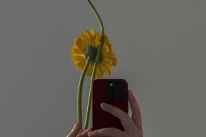 60+ Aesthetic Flower Captions for Instagram—Bloom with Style!