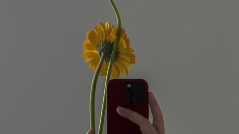 60+ Aesthetic Flower Captions for Instagram—Bloom with Style!