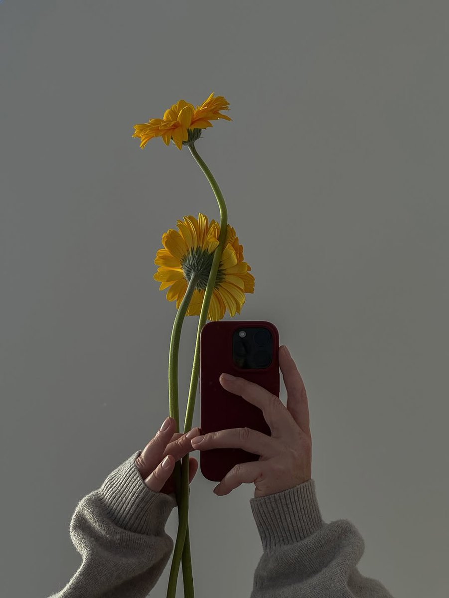 60+ Aesthetic Flower Captions for Instagram—Bloom with Style!