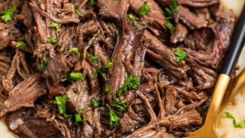 Crock Pot Shredded Beef - Slow Cooker Recipes