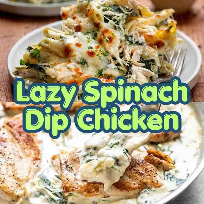 Lazy Spinach Dip Chicken