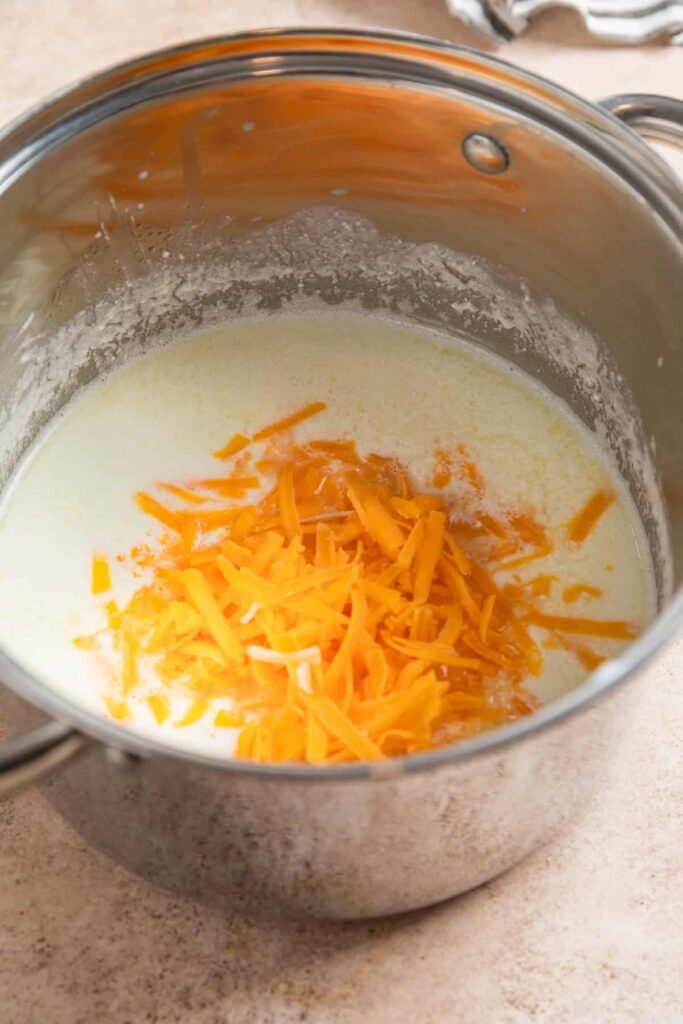 PROTEIN MAC AND CHEESE