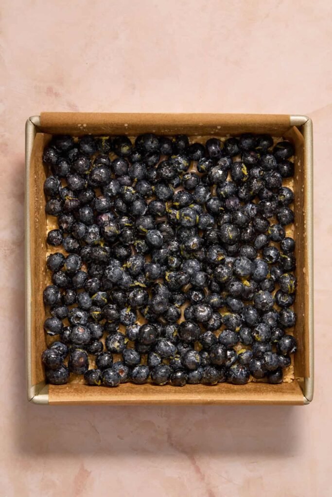 Blueberry Lemon Bars
