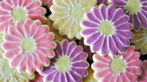 The Best Rolled Sugar Cookies