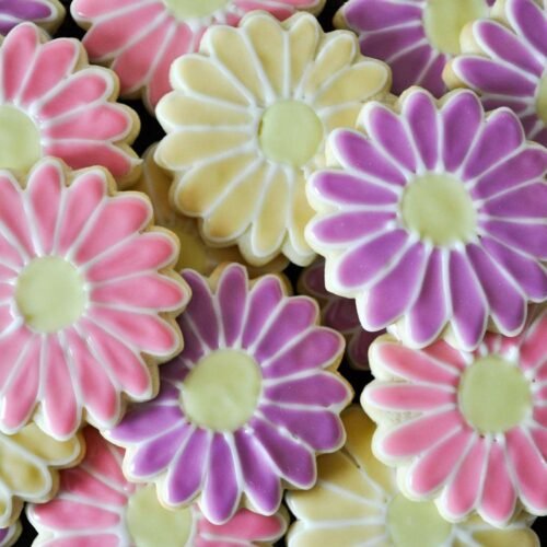 The Best Rolled Sugar Cookies