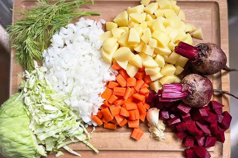 Borscht Soup Recipe