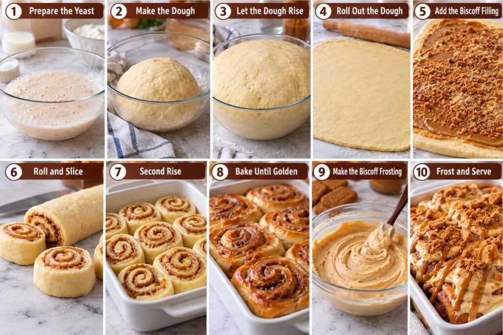 There’s something magical about pulling a pan of warm cinnamon rolls from the oven, especially when those rolls are packed with Biscoff cookie butter.
These Biscoff Cookie Butter Cinnamon Rolls take the classic homemade cinnamon roll and give it a delicious cookie-butter twist. The dough is soft and fluffy, the center is filled with buttery brown sugar, cinnamon, and rich Biscoff spread, and the finished rolls can be topped with a creamy Biscoff frosting or an extra drizzle of warmed cookie butter.
The result? Soft, gooey cinnamon rolls with warm cinnamon spice and that unmistakable caramelized Biscoff flavor in every bite.
They’re perfect for a lazy weekend breakfast, holiday brunch, afternoon coffee, or whenever you're craving something sweet and comforting. Biscoff is especially well suited to cinnamon rolls because its caramelized, lightly spiced flavor complements the cinnamon filling beautifully.
Why You'll Love Biscoff Cookie Butter Cinnamon Rolls
Soft and fluffy texture: The homemade yeast dough bakes into wonderfully tender rolls with a pillowy center.
 Every bite has that bakery-style softness you want from a great cinnamon roll.
Rich Biscoff flavor: Cookie butter melts into the cinnamon filling, creating a deep caramelized and gently spiced flavor.
 It turns an ordinary cinnamon roll into something extra special.
Gooey cinnamon filling: Brown sugar, butter, cinnamon, and Biscoff create a luscious filling that settles beautifully between the layers.
 The center is the best part!
Perfect for breakfast or brunch: These rolls make a cozy weekend breakfast but are also impressive enough for holidays and special occasions.
 Serve them warm with coffee, tea, or a cold glass of milk.
A Biscoff lover's dream: From the filling to the optional frosting and cookie crumbs, there are plenty of ways to add more Biscoff flavor.
 One bite and you'll understand the obsession.
What Makes Homemade Better?
Store-bought cinnamon rolls are convenient, but homemade rolls have a completely different texture and flavor.
When you make these Biscoff cinnamon rolls from scratch, you can control the dough, filling, sweetness, and amount of cookie butter. The dough is allowed to rise until soft and puffy, giving the finished rolls a tender texture that pairs beautifully with the rich filling.
Homemade also means you can serve them warm from the oven, when the Biscoff filling is soft and gooey and the aroma of cinnamon fills the kitchen.
And perhaps the biggest advantage is customization. Want extra cookie butter? Add it. Love crushed Biscoff cookies? Sprinkle them over the top. Prefer cream cheese frosting? Make it extra thick.
Ingredients You’ll Need
These irresistible Biscoff Cookie Butter Cinnamon Rolls feature a pillowy homemade dough wrapped around a decadent cinnamon-cookie butter filling, all finished with a silky glaze on top. The recipe involves a few steps, but every ingredient is straightforward to track down.
This batch yields about 10 to 12 cinnamon rolls.
For the Dough
All-purpose flour — Creates the structure for the rolls while keeping the dough tender.
Warm whole milk — Adds richness and moisture while helping create a soft, fluffy dough.
Active dry or instant yeast — Gives the dough its lift and creates those light, airy layers.
Granulated sugar — Adds sweetness to the dough and helps create a beautifully tender texture.
Unsalted butter — Brings richness and softness to the dough.
Eggs — Add structure, richness, and tenderness.
Salt — Balances the sweetness and brings out the flavors of the butter, cinnamon, and Biscoff.
For the Biscoff Filling
Biscoff cookie butter — The star ingredient, adding that signature caramelized cookie flavor throughout the swirls.
Unsalted butter — Helps create a rich, spreadable filling that melts beautifully into the dough.
Brown sugar — Adds deep molasses sweetness and helps create a gooey cinnamon-roll center.
Ground cinnamon — Gives the filling its classic warm, aromatic cinnamon flavor.
Crushed Biscoff cookies — Optional, but highly recommended if you want extra cookie flavor and a little texture.
For the Topping
Cream cheese — Creates a smooth, slightly tangy frosting that balances the sweetness of the cookie butter.
Biscoff cookie butter — Adds another layer of caramelized cookie flavor to the frosting.
Powdered sugar — Sweetens the frosting while keeping it smooth.
Vanilla extract — Adds a subtle layer of warmth and rounds out the flavors.
Milk or heavy cream — Helps adjust the frosting to the perfect drizzleable consistency.
Extra Biscoff cookies — Crushed cookies make an easy and attractive finishing touch.
The combination of cookie butter, cinnamon, brown sugar, and a creamy topping is a common approach in Biscoff cinnamon-roll recipes because the flavors complement the enriched dough particularly well.
Step-By-Step Direction
Step 1: Prepare the Yeast
Warm the milk until it is comfortably warm rather than hot. Combine it with the yeast and a little sugar, then let it sit until the mixture becomes foamy.
If you're using instant yeast, you can generally mix it directly into the dough ingredients, but allowing the yeast to foam is a useful way to check that active dry yeast is working.
Step 2: Make the Dough
Add the melted butter, eggs, sugar, flour, and salt. Mix until a soft dough forms.
Knead the dough until it becomes smooth and elastic. It should feel soft and slightly tacky rather than dry and stiff. Avoid adding too much flour because that can make the finished cinnamon rolls heavy.

Step 3: Let the Dough Rise
Place the dough in a lightly greased bowl and cover it. Let it rise in a warm, draft-free place until it becomes noticeably puffy and roughly doubles in size.
This first rise is important because it gives the yeast time to develop the dough's structure and airy texture. Similar Biscoff cinnamon-roll recipes use a first rise followed by a second proof after shaping.
Step 4: Roll Out the Dough
Transfer the risen dough to a lightly floured surface and gently roll it into a large rectangle.
Try to keep the thickness fairly even so the finished rolls bake consistently.

Step 5: Add the Biscoff Filling
Spread softened butter over the dough, followed by a thin, even layer of Biscoff cookie butter.
Sprinkle the brown sugar and cinnamon evenly over the top. For even more Biscoff flavor, add finely crushed Biscoff cookies.
Don't make the filling excessively thick. A thin, even layer makes the dough easier to roll and helps keep the beautiful spiral intact.

Step 6: Roll and Slice
Starting from one long edge, carefully roll the dough into a snug log.
Use a sharp knife or unflavored dental floss to cut the log into even pieces. Arrange the rolls in a greased baking dish with the swirls facing upward.

Step 7: Give the Rolls a Second Rise
Cover the shaped rolls and allow them to rise again until they look soft, puffy, and expanded.
This second proof helps produce the light, fluffy texture associated with bakery-style cinnamon rolls.
Step 8: Bake Until Golden
Bake the rolls in a preheated oven until the tops are lightly golden and the center rolls are cooked through.
Keep an eye on them toward the end of baking. You want the rolls baked through but still soft and tender rather than dry.
Step 9: Make the Biscoff Frosting
While the rolls cool slightly, beat softened cream cheese and butter until smooth. Add Biscoff cookie butter, powdered sugar, and vanilla, then mix until creamy.
If the frosting is too thick, add a small amount of milk or cream until it reaches your preferred consistency.
Step 10: Frost and Serve
Spread the frosting generously over the warm cinnamon rolls.
For the ultimate Biscoff finish, drizzle warmed cookie butter over the top and scatter crushed Biscoff cookies across the rolls.
Serve while they're still warm and gooey.

Serving Suggestions
With morning coffee — The caramelized cookie flavor pairs beautifully with a hot cup of coffee.
With a cold glass of milk — A classic combination that balances the richness of the rolls.
For weekend brunch — Serve alongside fresh berries, scrambled eggs, or a savory breakfast casserole.
For holiday breakfast — These make a cozy addition to Thanksgiving, Christmas, or other special-morning menus.
As an afternoon dessert — Warm one slightly and enjoy it with tea or coffee.
With extra Biscoff drizzle — Warm a little cookie butter until smooth and drizzle it over individual servings.
With crushed cookies — Add extra Biscoff crumbs immediately before serving for texture and visual appeal.
Tips for the Best Results
Don't over-flour the dough: A slightly tacky dough usually produces softer cinnamon rolls than a stiff, heavily floured dough.
 Add flour gradually and stop when the dough becomes manageable.
Use warm, not hot, milk: Extremely hot milk can damage the yeast.
 The milk should feel warm rather than steaming hot when you add it.
Warm the cookie butter slightly: Biscoff spread becomes easier to spread when gently warmed.
 A thin layer gives you better swirls and makes rolling the dough easier.
Give the dough enough time to rise: Don't rely only on the clock; look for a dough that has become noticeably puffy and expanded.
 The dough's appearance matters more than an exact rising time.
Don't overbake: Cinnamon rolls continue to firm up as they cool.
 Bake just until golden and cooked through so they stay soft and gooey in the center.
Storage Tips
Refrigerator
Store leftover Biscoff cinnamon rolls in an airtight container in the refrigerator. They should stay soft for several days, although the texture is best when reheated.
If possible, keep extra frosting separate and add it after reheating.
Freezer
For longer storage, freeze the baked rolls once they have cooled completely.
Wrap individual rolls tightly and place them in a freezer-safe container or bag. You can also freeze the unbaked shaped rolls for a convenient make-ahead option, although the thawing and proofing process should be handled carefully.
Reheating
For the softest texture, warm individual rolls gently in the microwave until heated through.
You can also reheat them in a low-temperature oven. Add a small drizzle of cookie butter or a little frosting afterward to bring back that fresh-from-the-oven richness.
Make-ahead versions of Biscoff cinnamon rolls can also be assembled, refrigerated, and baked later; this is particularly useful for holiday breakfasts and brunches.
Final Thoughts
These Biscoff Cookie Butter Cinnamon Rolls are everything you want in a homemade sweet roll: soft, fluffy dough, a buttery cinnamon filling, rich cookie butter, and a creamy topping.
The Biscoff flavor makes them feel a little more special than traditional cinnamon rolls without making the recipe complicated. They're the kind of treat that fills the kitchen with an irresistible aroma and makes everyone wonder when they can have the first one.
For a cozy weekend breakfast, holiday brunch, or indulgent dessert, warm Biscoff cinnamon rolls are hard to resist.
And if you're a serious Biscoff fan, don't stop with the frosting—add a warm cookie-butter drizzle and a sprinkle of crushed cookies right before serving. That's when these soft, gooey rolls really shine.