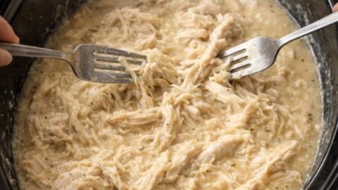 Easy Crockpot Chicken & Gravy